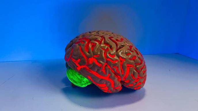 ALS Finding Links Blood & Brain