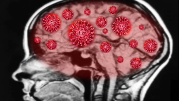 How COVID-19 Could Increase Risk of Cognitive Decline