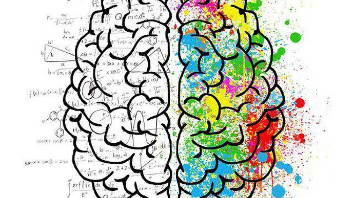 Scientists Map Gene Changes Underlying Brain & Cognitive Decline in Aging