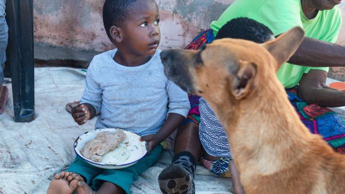 ReachMD Healthcare Image