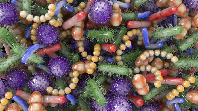 Gut Microbe Found to Potentially Play a Role in Breast Cancer Development
