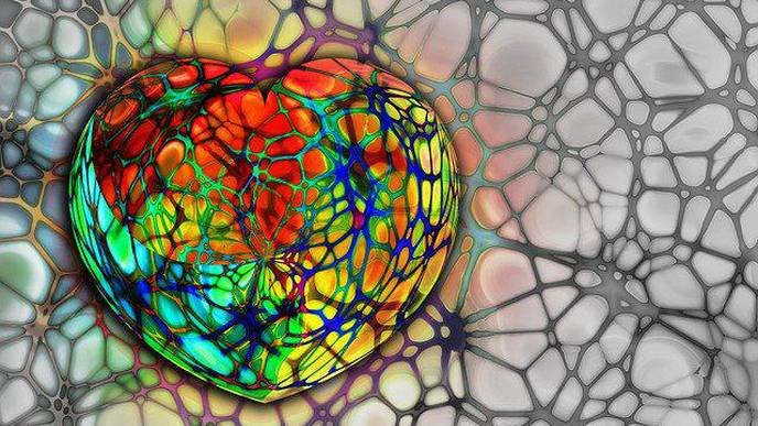 Study Leads to Better Understanding of Blood Pressure Regulation, Atherosclerosis