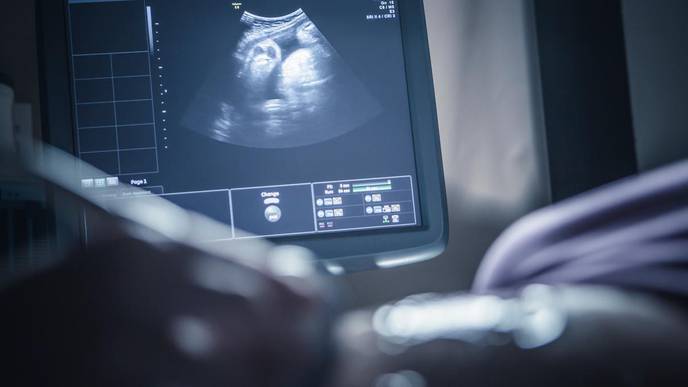 Reduced Hormone Supply in Pregnant Mothers Linked to ADHD in Their Children
