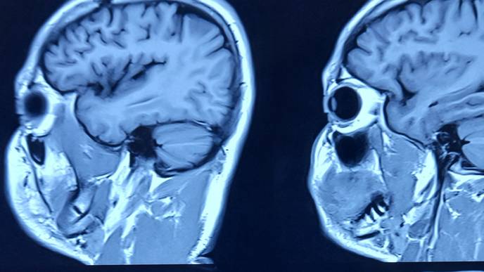 ReachMD Healthcare Image