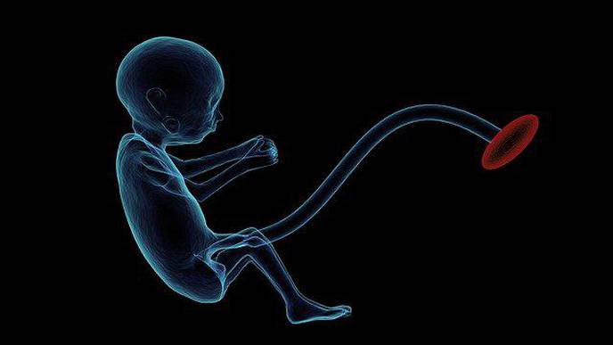 Pregnancy: Placental Function Can Help Diagnose Diabetes & Heart Diseases