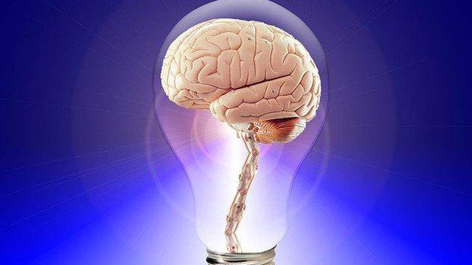Brain Activity Can Reveal the Severity of Autistic Traits