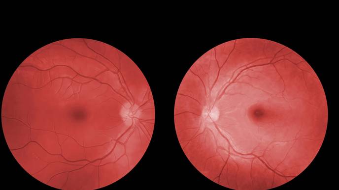 ReachMD Healthcare Image