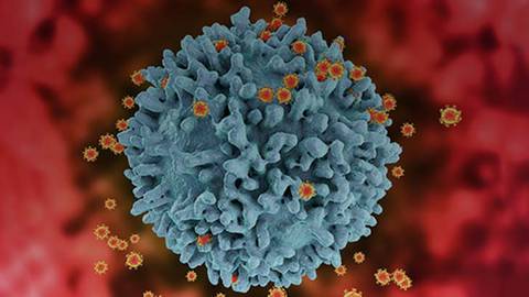 Best Practices for Taking a Sexual History: Destigmatizing PrEP Care