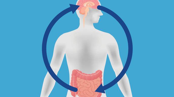Researchers Unravel Clues about Rare & Misdiagnosed Gastrointestinal Disorder