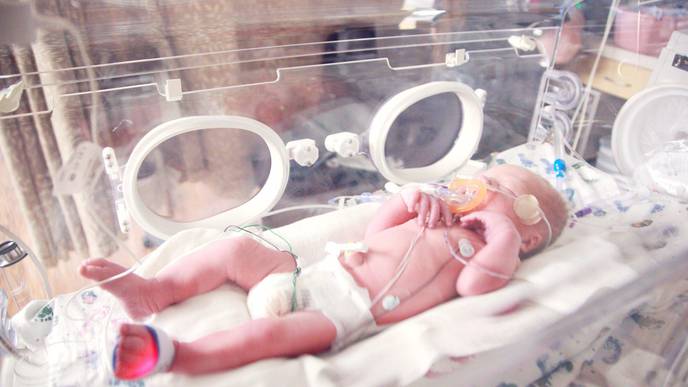 Study Reveals Immune Cells That Drive Gastrointestinal Disease in Babies