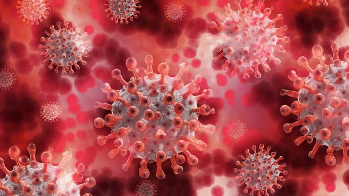 Dilated Blood Vessels in the Lung May Explain Low Oxygen Levels in Severe Cases of Coronavirus