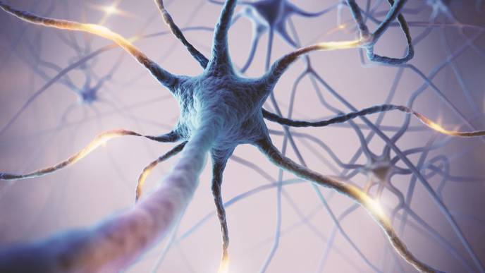 3D-Printed Device Successfully Recorded Electrical Impulses That Drive Vocalizations