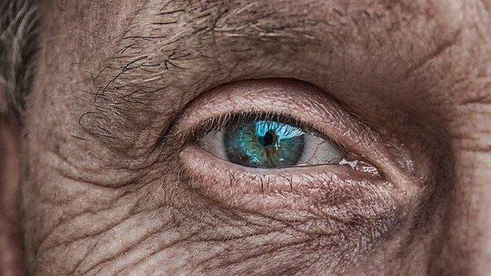 Gene Therapy Shows Promise in Treating Rare Eye Disease in Mice