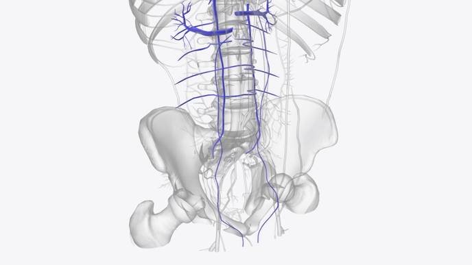 ReachMD Healthcare Image