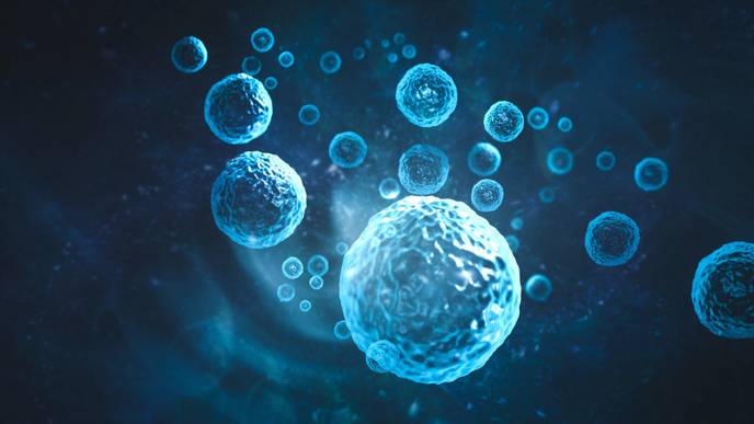 ReachMD Healthcare Image