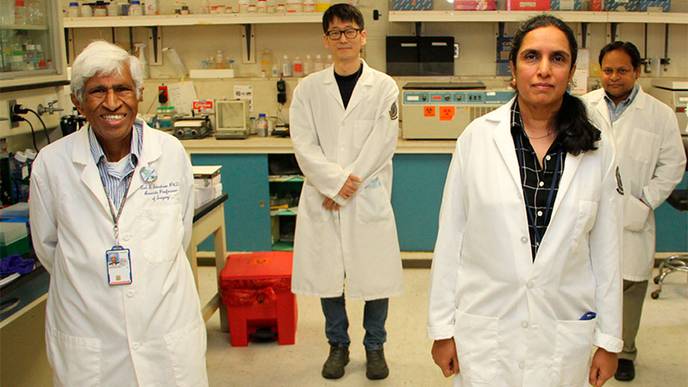 Gene Could Help Predict Response to Cervical Cancer Treatment