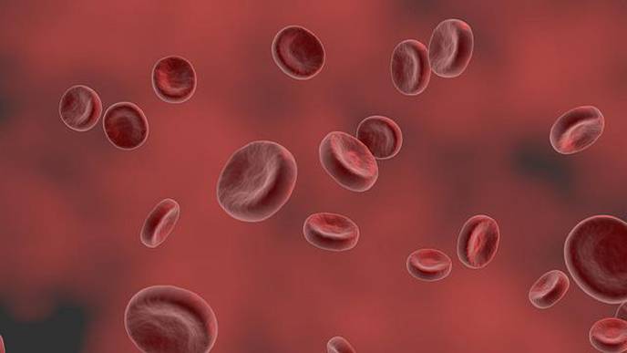 Beta Blockers Can Repair Malformed Blood Vessels in the Brain