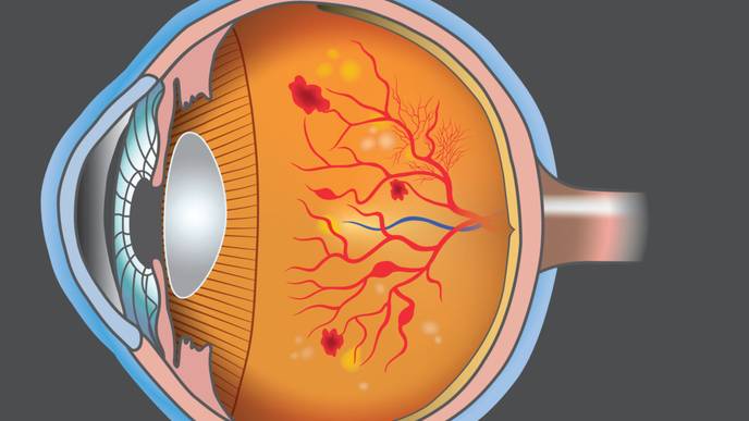 ReachMD Healthcare Image