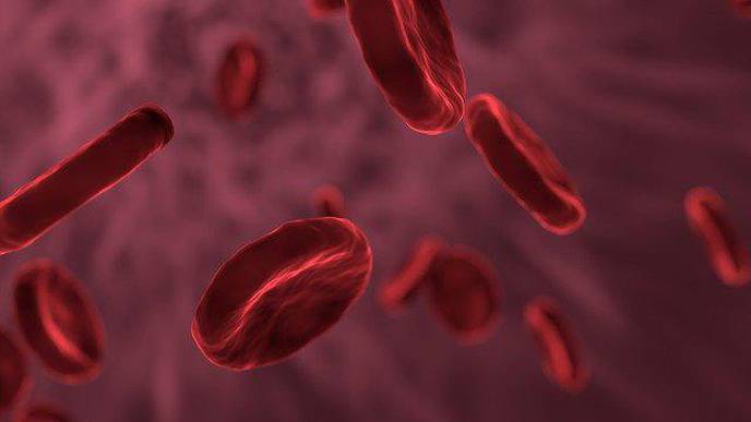 Disparities Seen in Hematologic Cancer Incidence & Survival for Hispanic Patients in Texas
