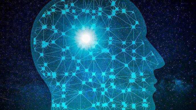 How Neural Systems Process & Store Information