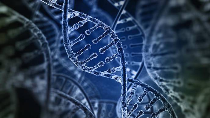 Decoding COVID-19: What Can Genetics Reveal About COVID-19?