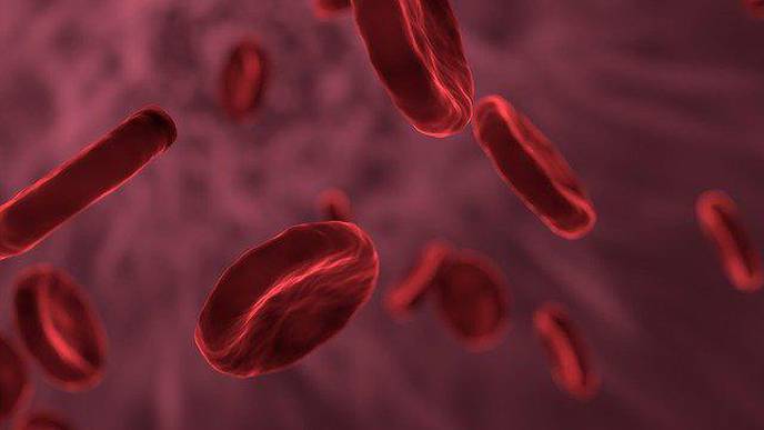Alzheimer’s: Copper Transport in Blood Provides Fresh Clues