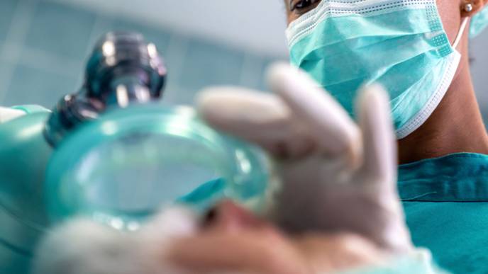 ReachMD Healthcare Image