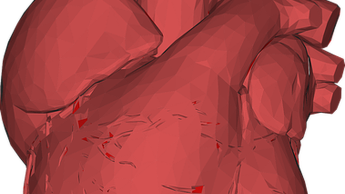 Reducing Proton Leak Restores Function in Aging Heart Cells