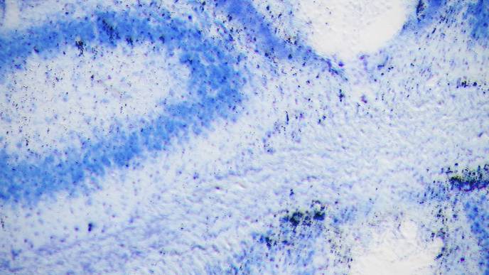 ReachMD Healthcare Image