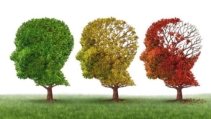 Forget Me Not: Novel Target Shows Promise in Treating Alzheimer’s & Related Dementias