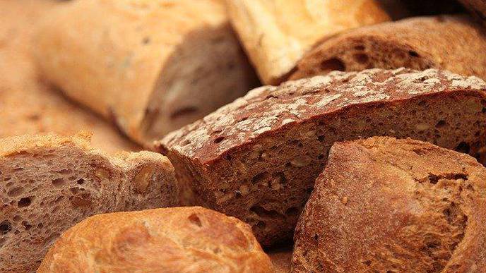 Gluten in Wheat: What Has Changed During 120 Years of Breeding?