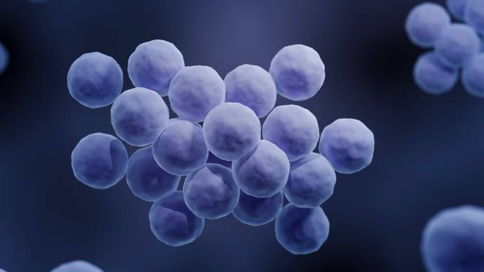 ReachMD Healthcare Image