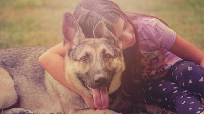 Loss of a Pet Can Potentially Trigger Mental Health Issues in Children