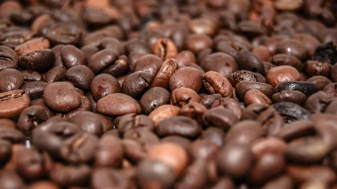 Brain Changed by Caffeine in Utero, Study Finds