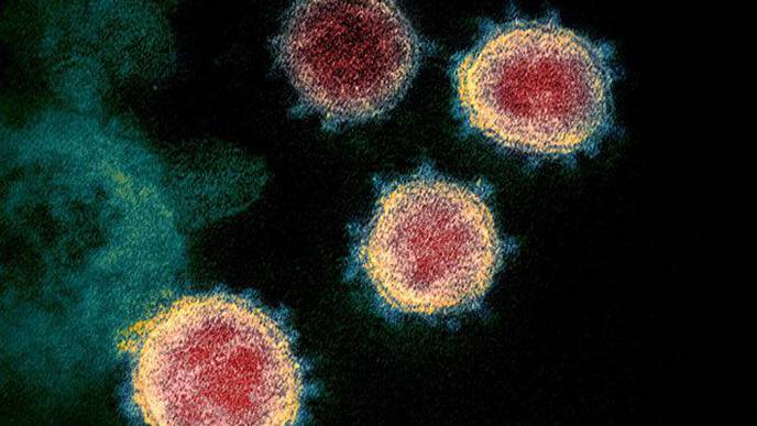 SARS-CoV-2 Uses 'Genome Origami' to Infect & Replicate Inside Host Cells