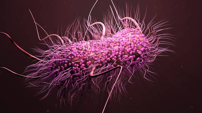 ReachMD Healthcare Image