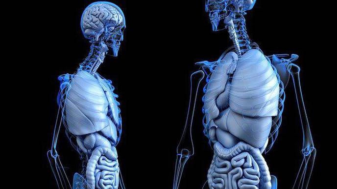 New Algorithm Can Predict Advanced Liver Disease