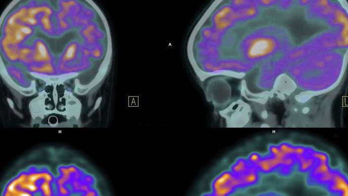 ReachMD Healthcare Image