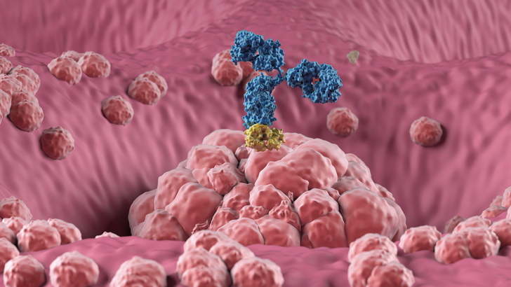 ReachMD Healthcare Image