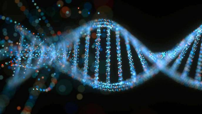 Stretches of Repeating DNA Predispose to Systemic Sclerosis