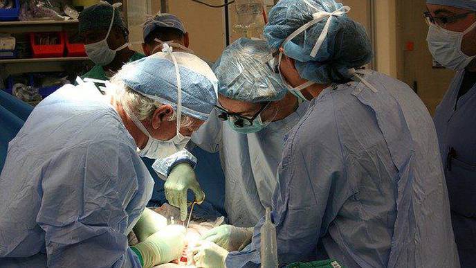 Research Examines Processes of Lung Scarring & Chronic Rejection of Organ After Transplantation