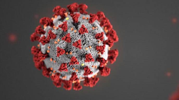 The Genetic Quest to Understand COVID-19