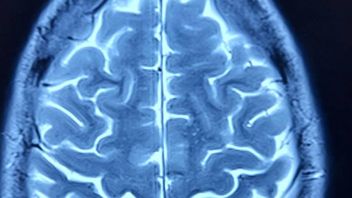 ReachMD Healthcare Image