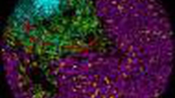 ReachMD Healthcare Image