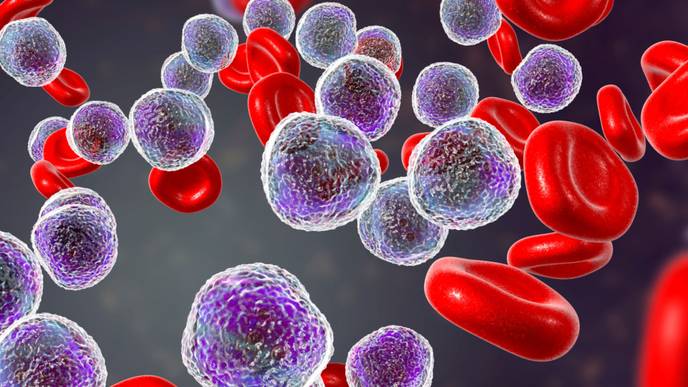 ReachMD Healthcare Image