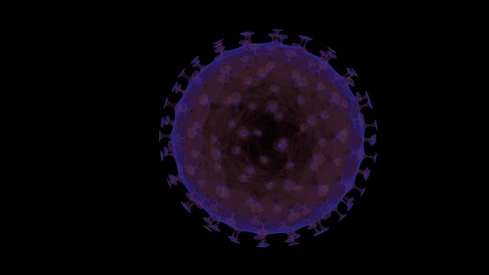 The Impact of Human Mobility on Disease Spread
