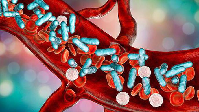 Biomaterial Vaccines Ward off Broad Range of Bacterial Infections & Septic Shock