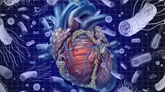 ReachMD Healthcare Image