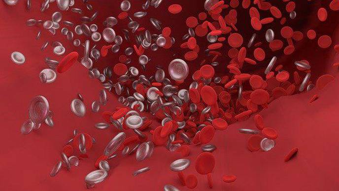 Study: COVID-19 Infection Combined with Blood Clots Worsen Patient Outcomes