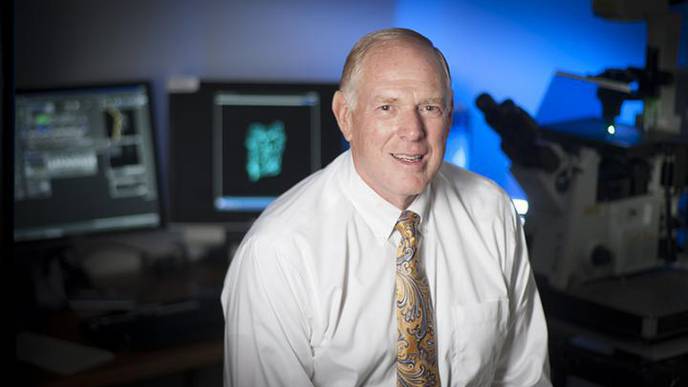 Targeted Therapies Developed to Reduce Lung Fibrosis
